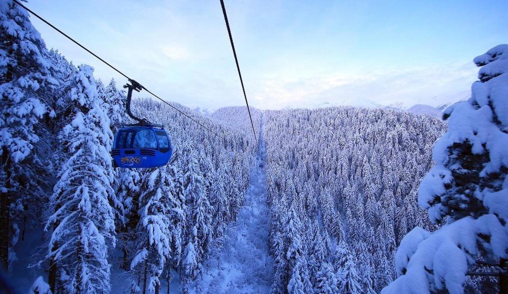 Green Life Bansko, 1 Bedroom Private Apartment D4 Kültér fotó